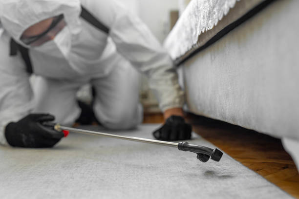Professional Bed Bug Control technician working in Thompsonville, PA